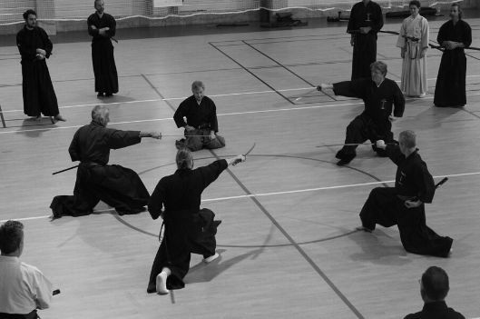 Stage de Iaido